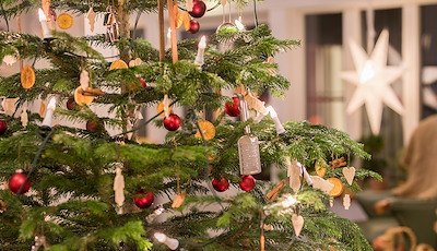 Boka The Big Christmas Package