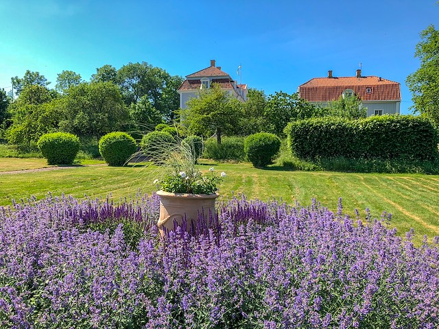 Sommarpaket på Tofta