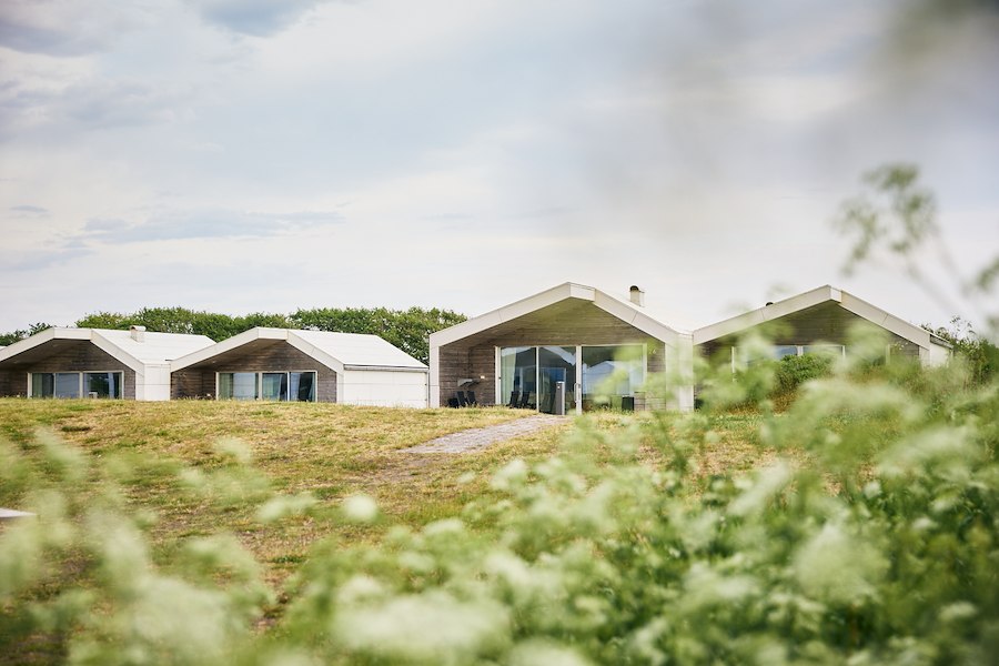 Beach House Pet-Friendly & Accessible