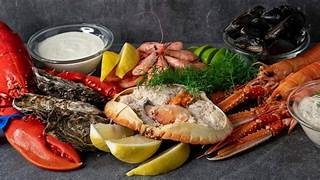 Skalldyrbuffet – Kun middag
