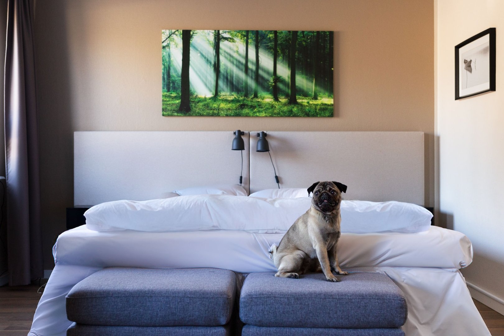 Lycksele Inn image 6