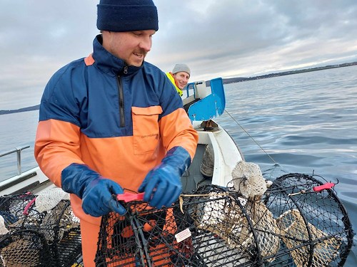 Boka Lobster Safari
