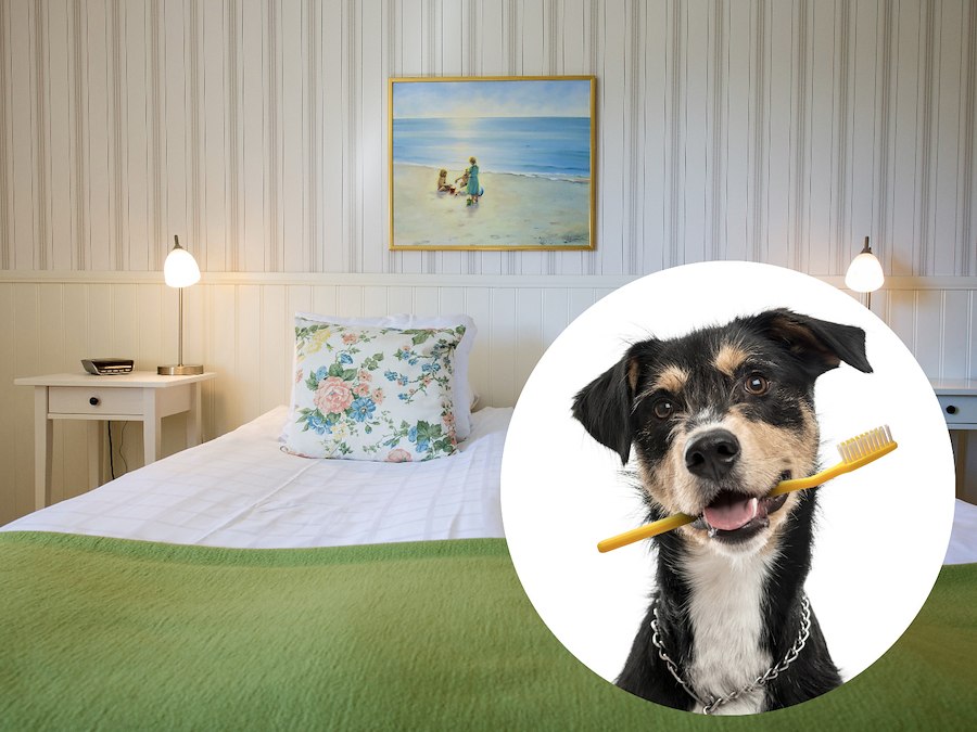 Deluxe double room with Jacuzzi (Dog Friendly)