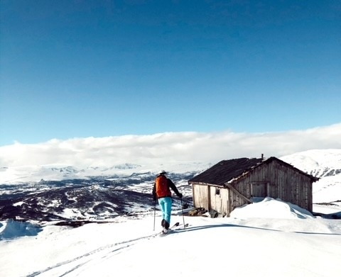 $apiData['content']['article']['title']