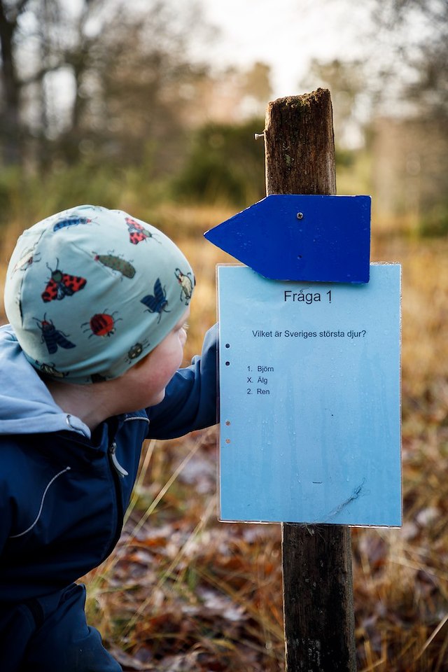 Upptäckarpaket - för små & stora upptäckare