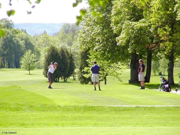 Image of Greenfee