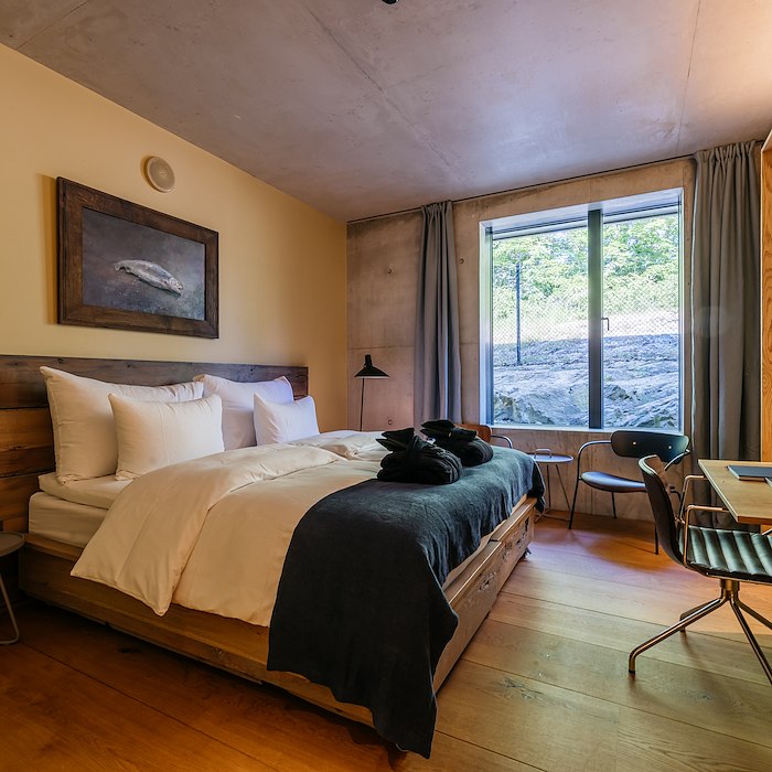 Villa Suite
