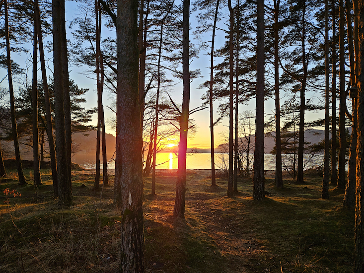 Praktisk Informasjon-image