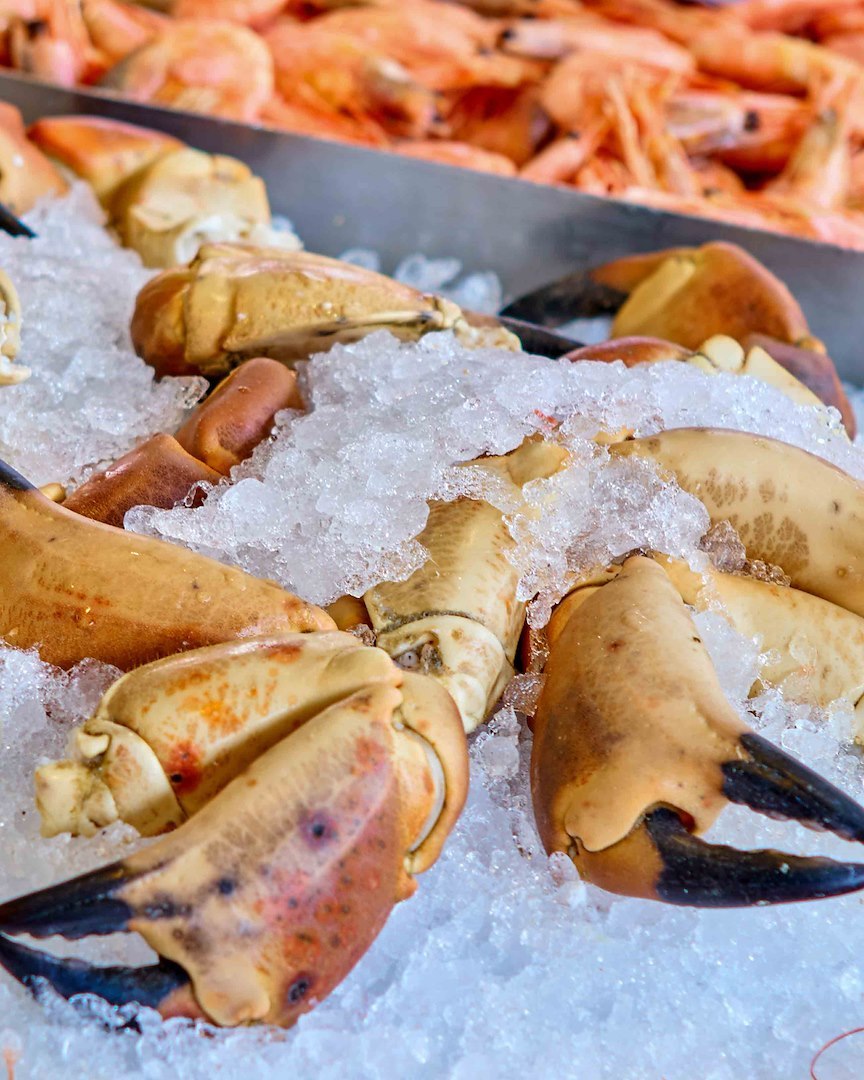 Image of Shellfish evening