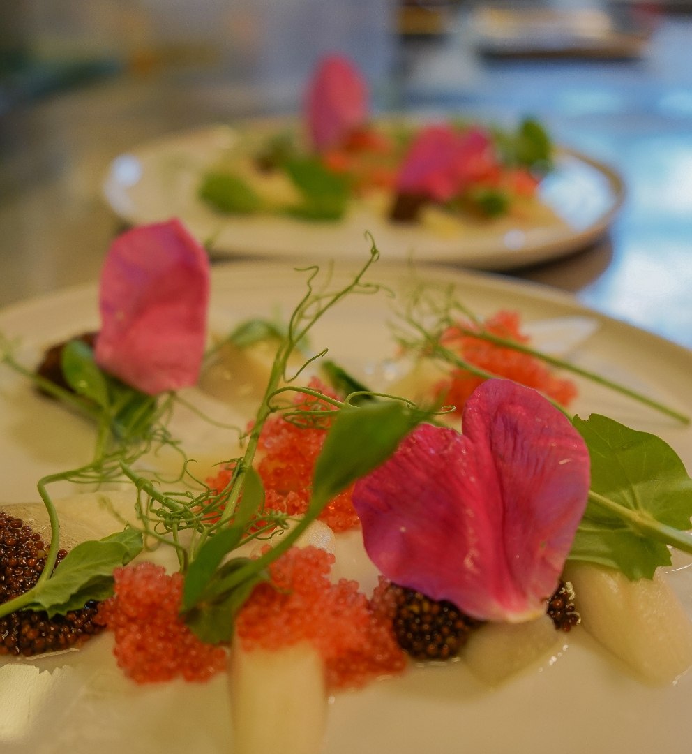 Turistgårdens Seasonal menu