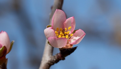 Boka Ascension Day Getaway at Villa Brunnby