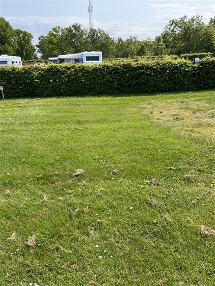 Camping Stellplatz Wohnwagen/Wohnmobil mit Strom Nr. 65