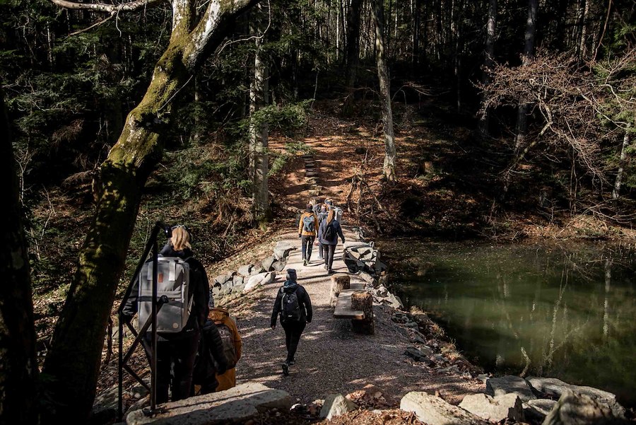 Yoga & Hiking with Maria Cerboni