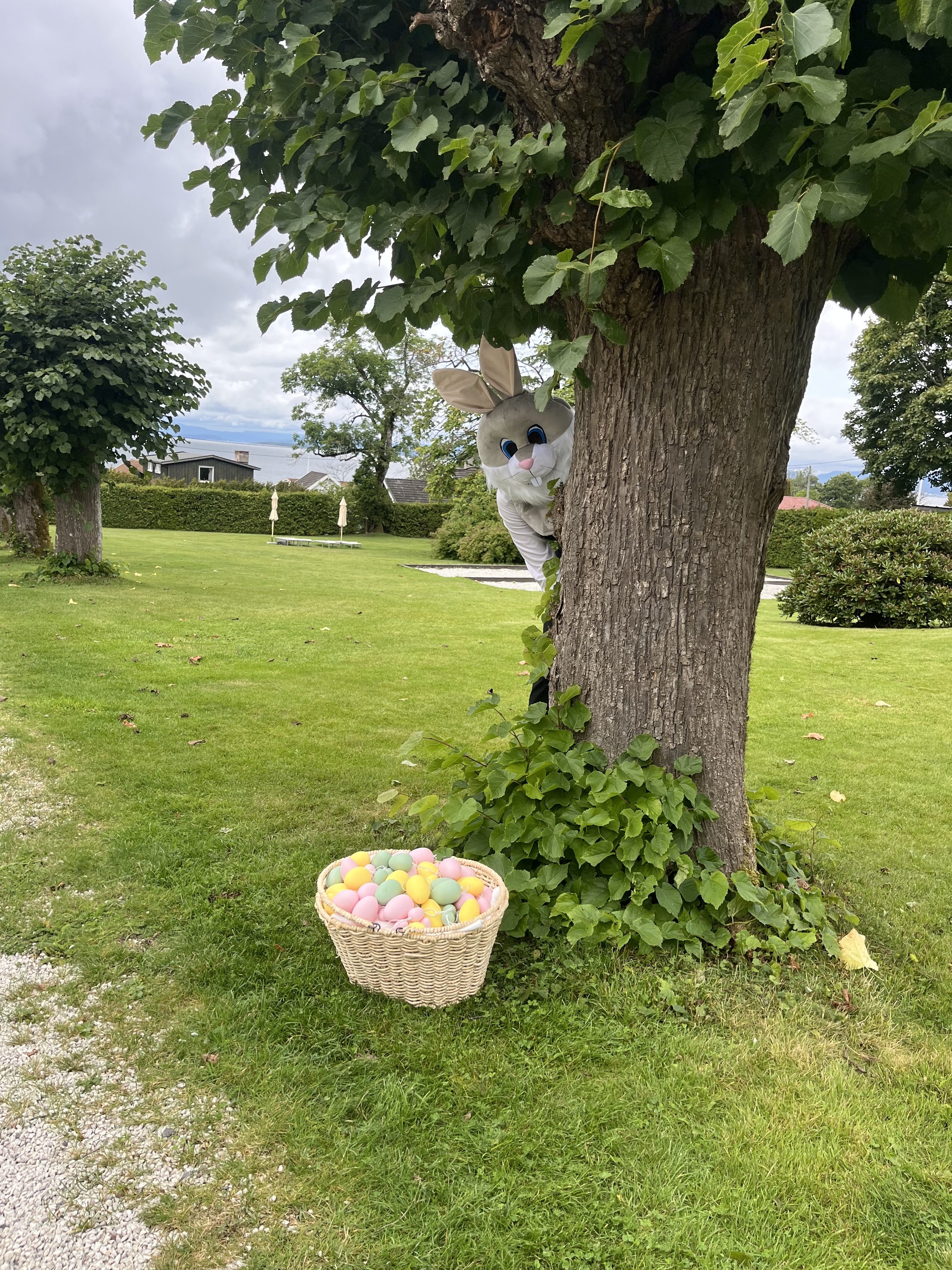 Finn ditt påskeegg i hagen