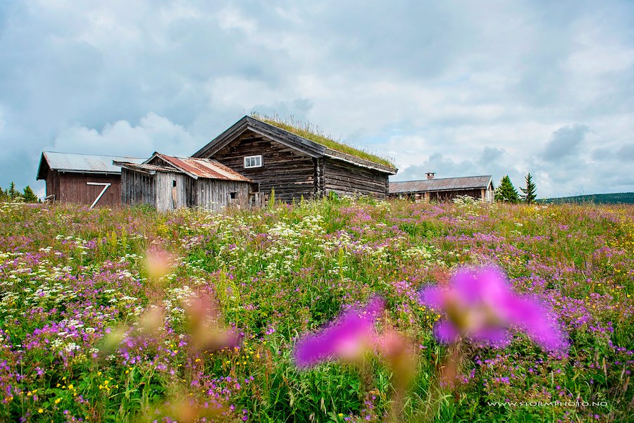 Seterlunsj på Lykkjesetra (torsdager)
