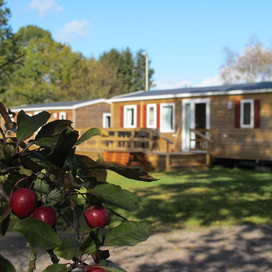 Static caravan  "Gäddan" (6 beds, WC/shower)