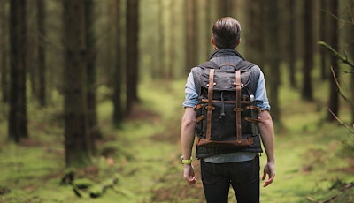 Boka Vandring på naturnära Skytteholm