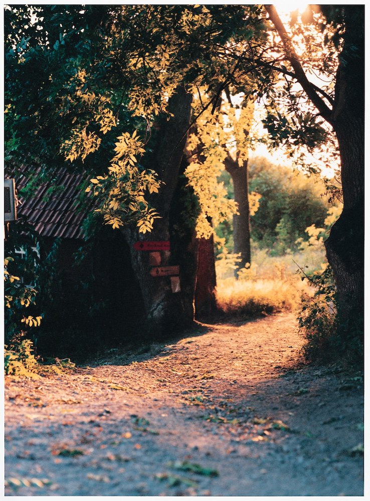 Höstlovspaket