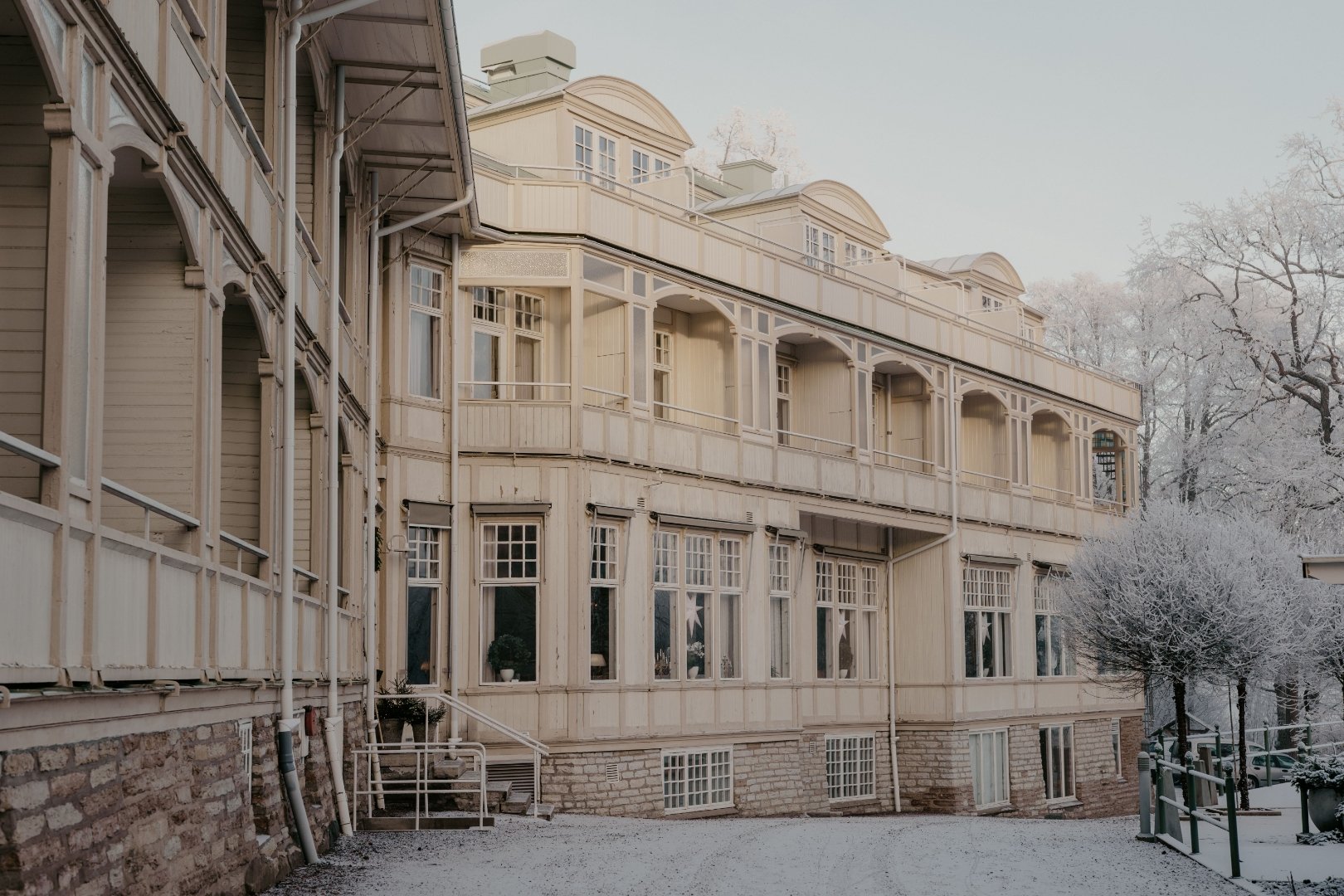 Primärbild av Vintermys