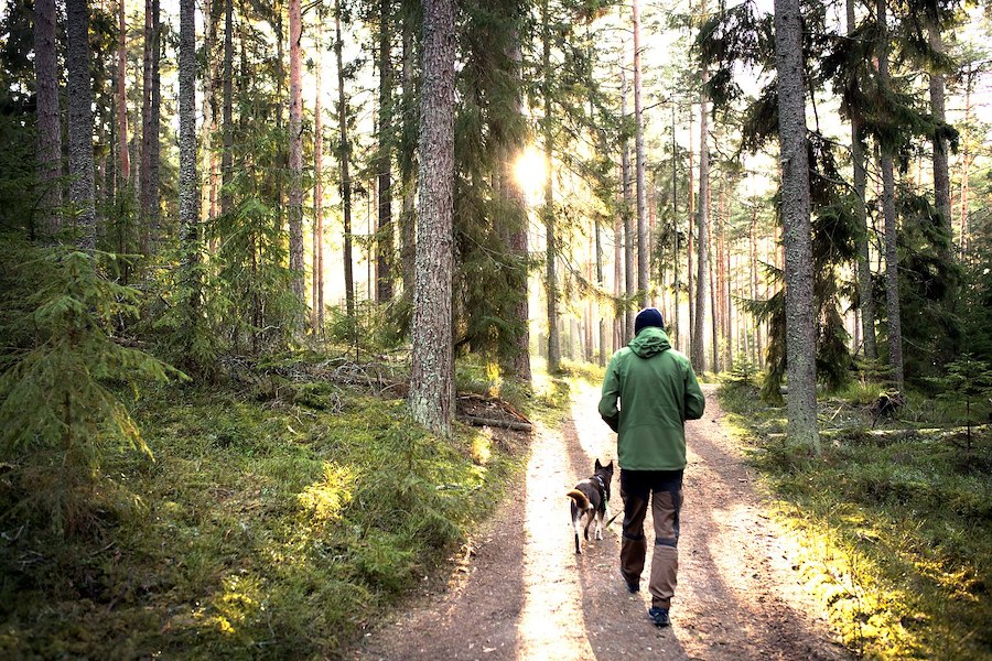 Hiking package Helsingborg