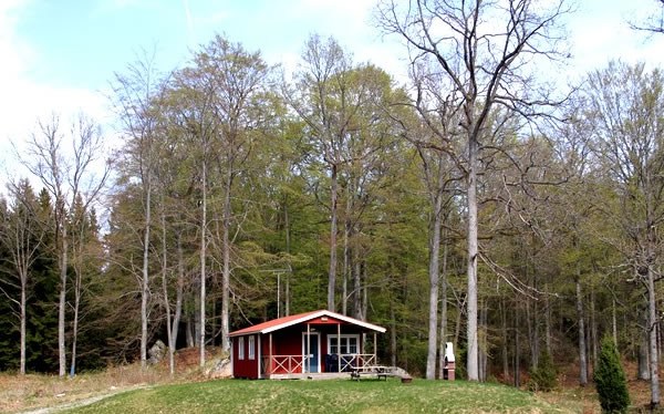 Cottage no 16 "Räven" (4+2 beds, 46 m², WC/shower)