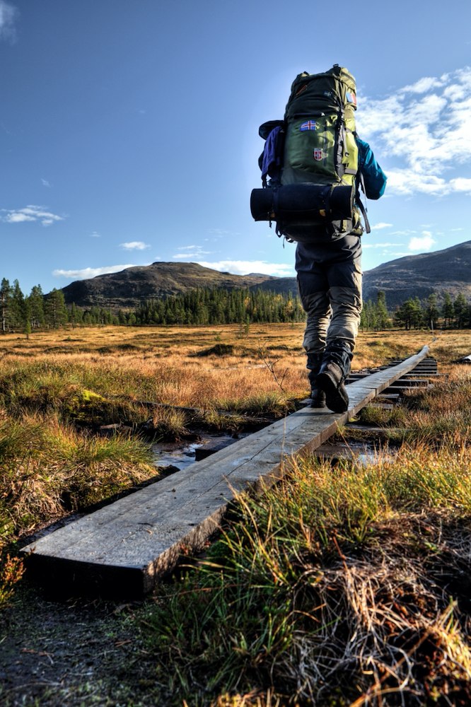 Ytterligare bild 5/5 av Höstfjäll med guldkant