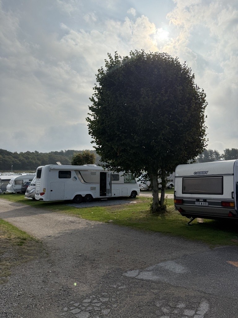 Campingplatz inklusive Stromanschluss - max. 12 Meter (Gras)