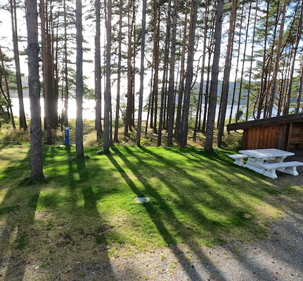 Teltplasser image