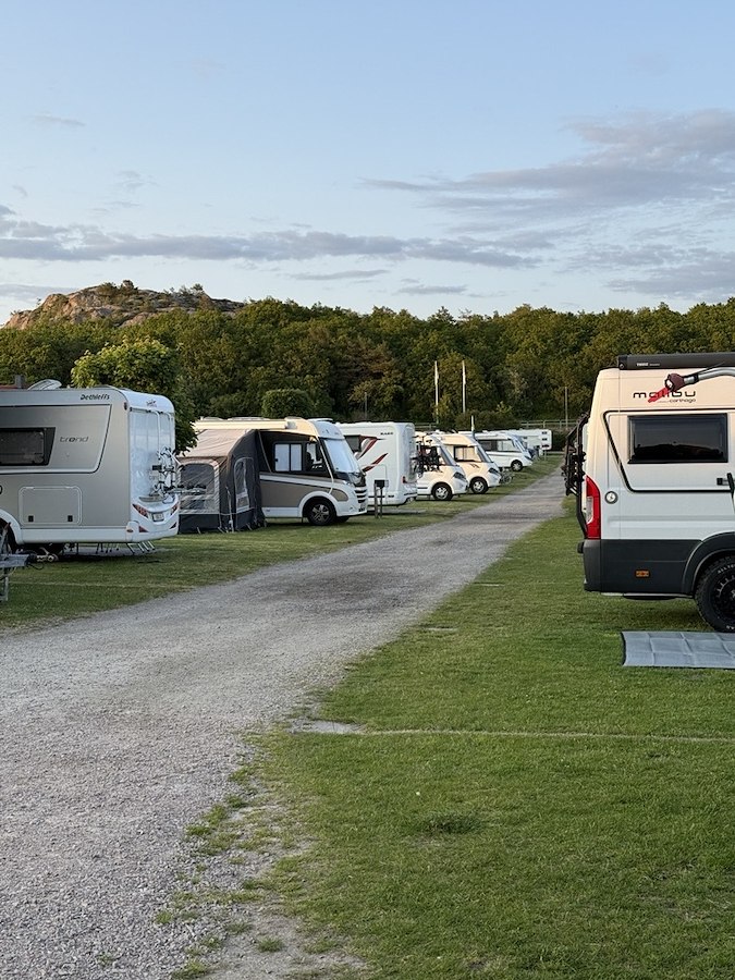 Motorhome pitch including electricity - max 7 meters (Grass)