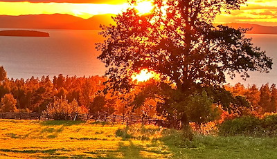 Boka Mys på Tällbergsgården