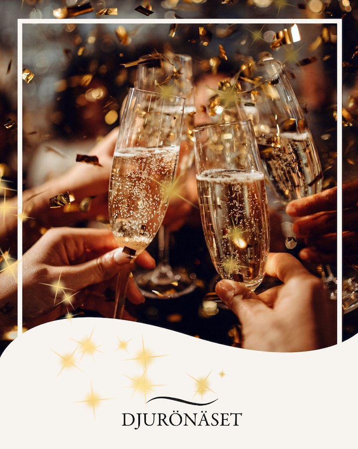 Långweekend Nyårsgala