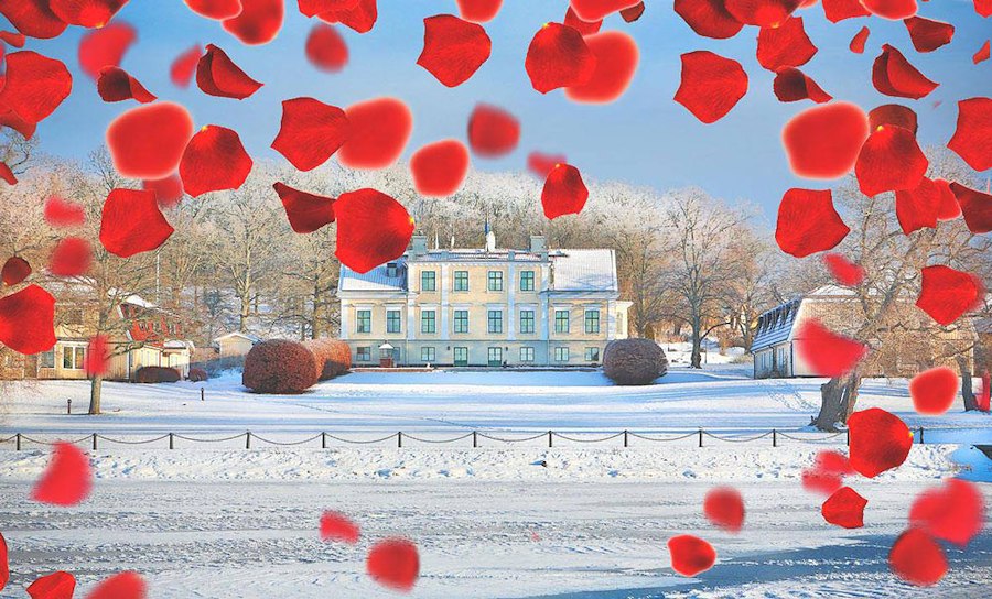 Alla ❤️ Weekend
