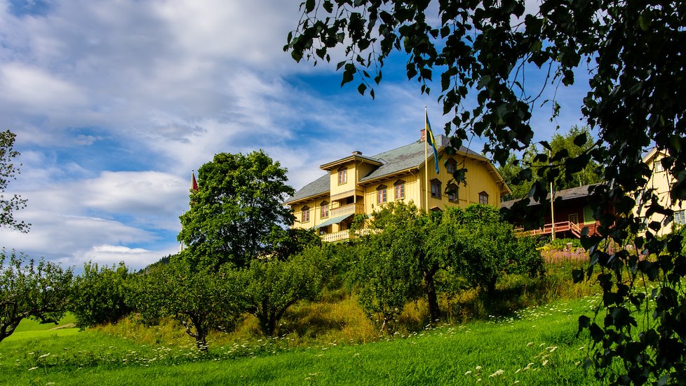 Aktiviteter - Aulestad-image