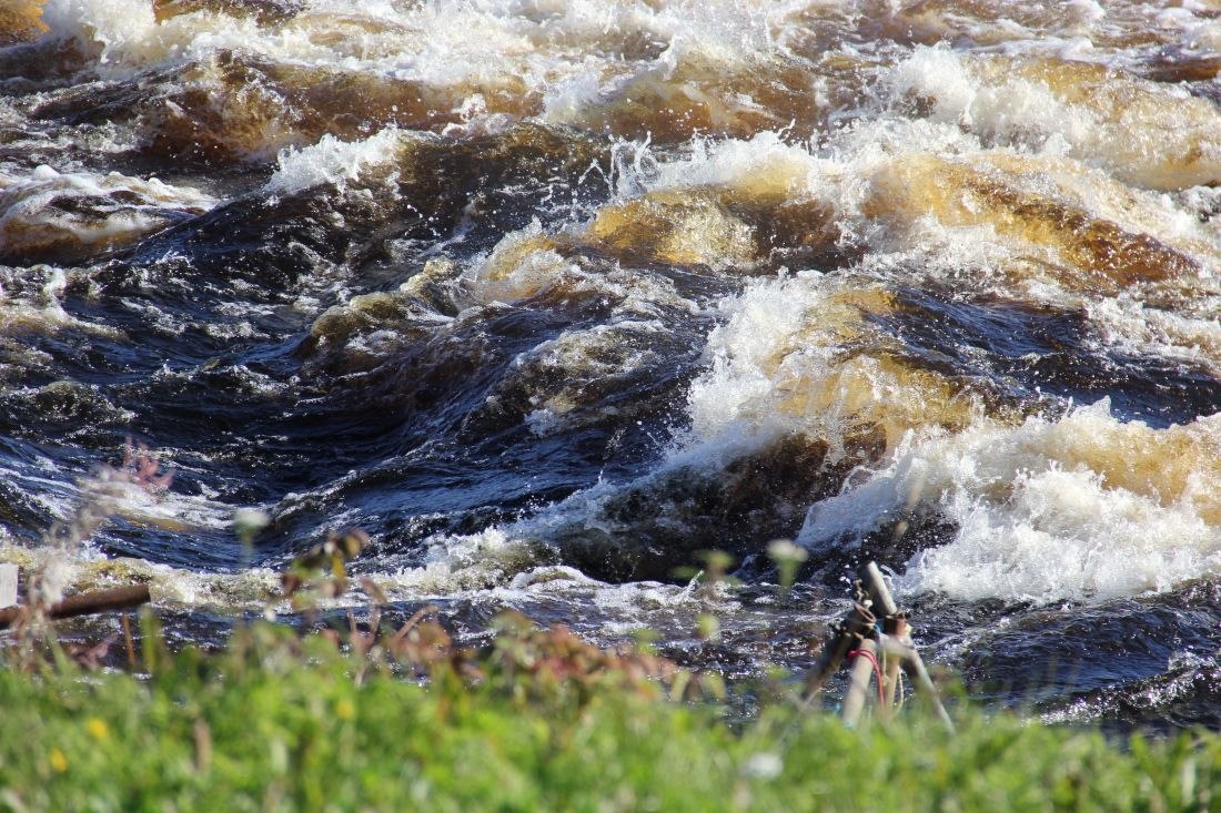 Image of Dinner on the river 