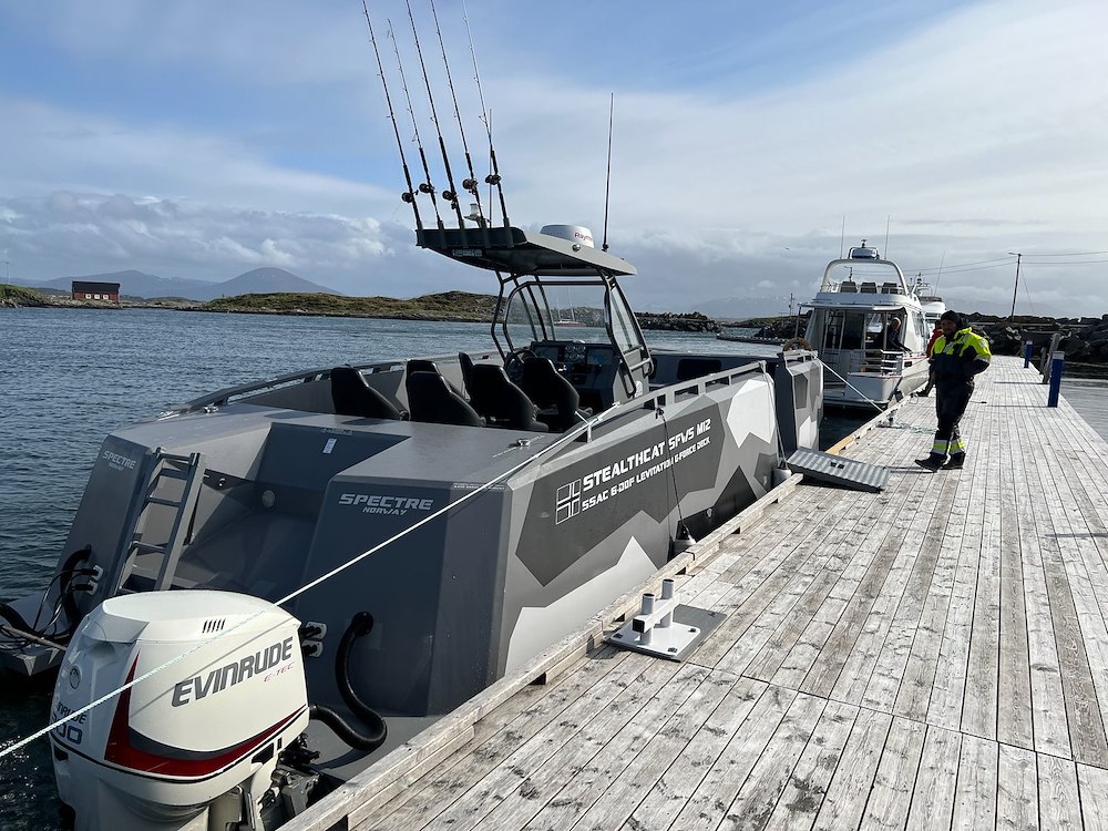 Image of Guidet fisketur 4 timer
