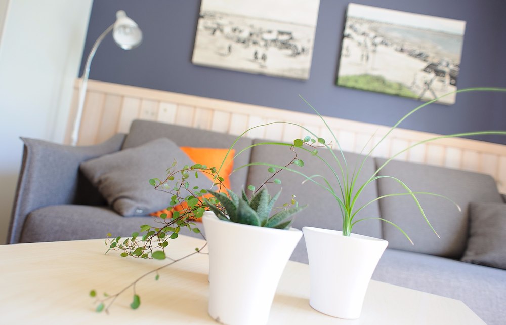 Zusätzliches Bild 8/24 von Apartment Haustiere erlaubt für 1–6 Personen