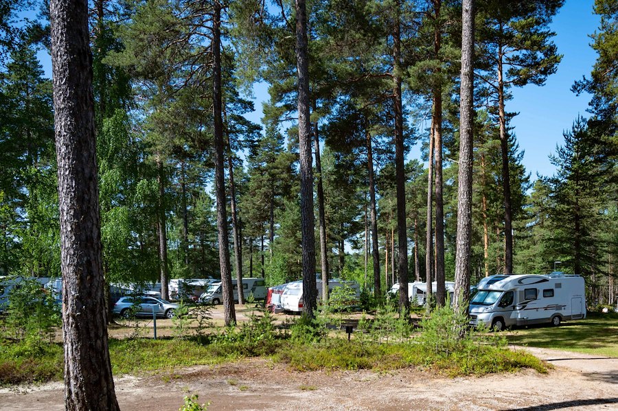 Tent pitch with electricity