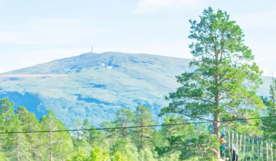 Andfjellet - Summit Hike-image