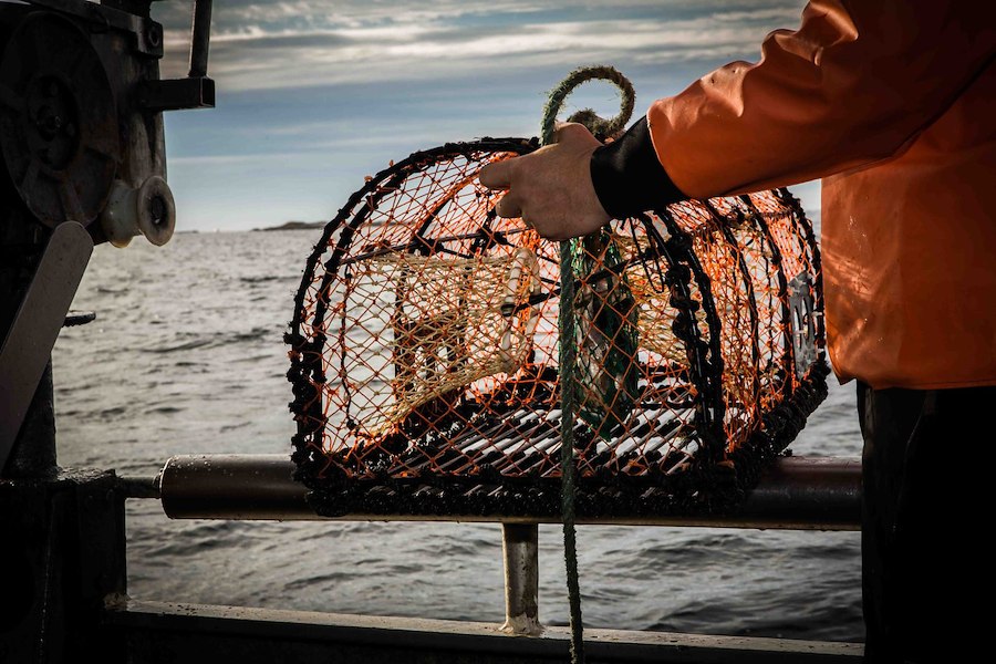 WEEKEND - HUMMERFISKEPAKET 2026
