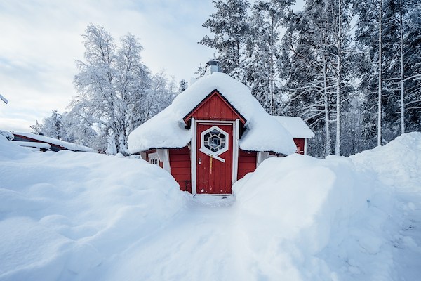 Mellandagar på Fjällheim