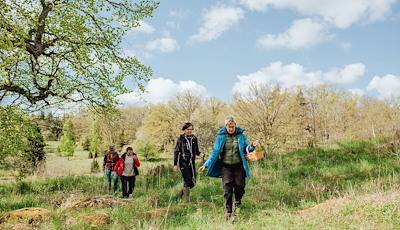Boka Vandra i Smålands Trädgård