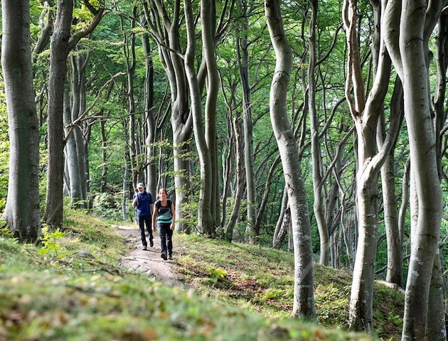 Boka Hiking Getaway på VILLA BRUNNBY  -  Kullahalvön  -  Skandinaviens Toscana