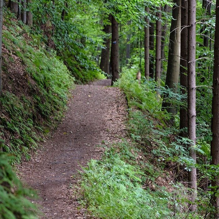 voucher-Vandring med middag