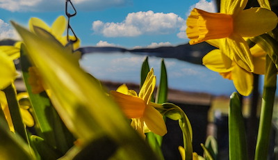 Boka Påsk på Skåvsjöholm