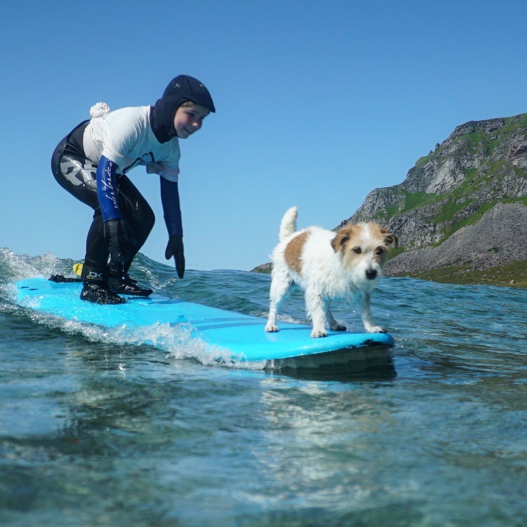 Image of Surf Coaching - Beginner Lesson