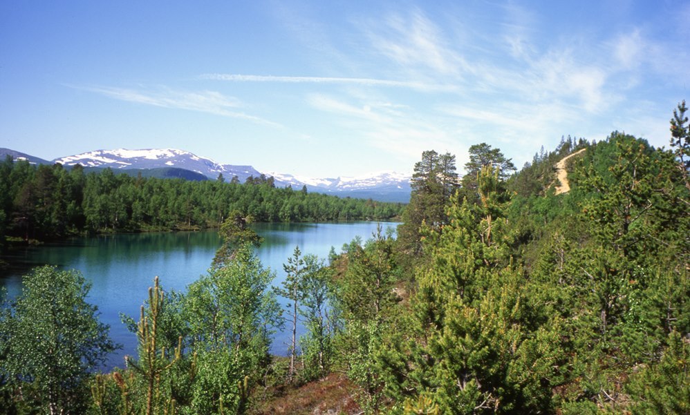Vålågårdens Värdshus & Camping AB