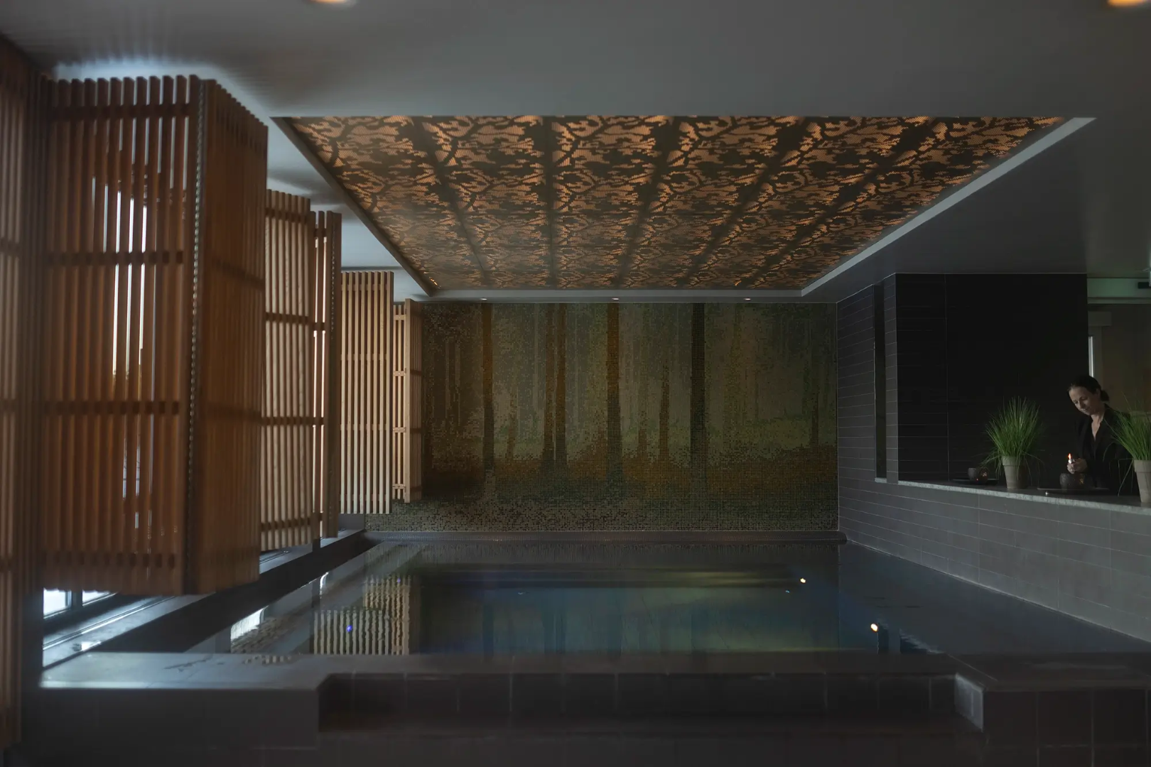 Image of Christmas Lunch & Spa