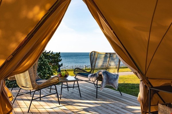 Glamping tent (4 beds, no WC/Shower) 