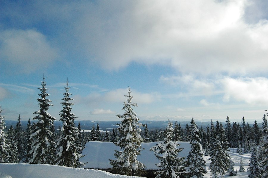 Nattrudstilvegen 346