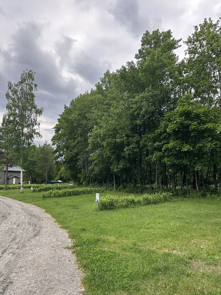 Ekstra bilde 3/9 av Børrestranda - Øvre dam